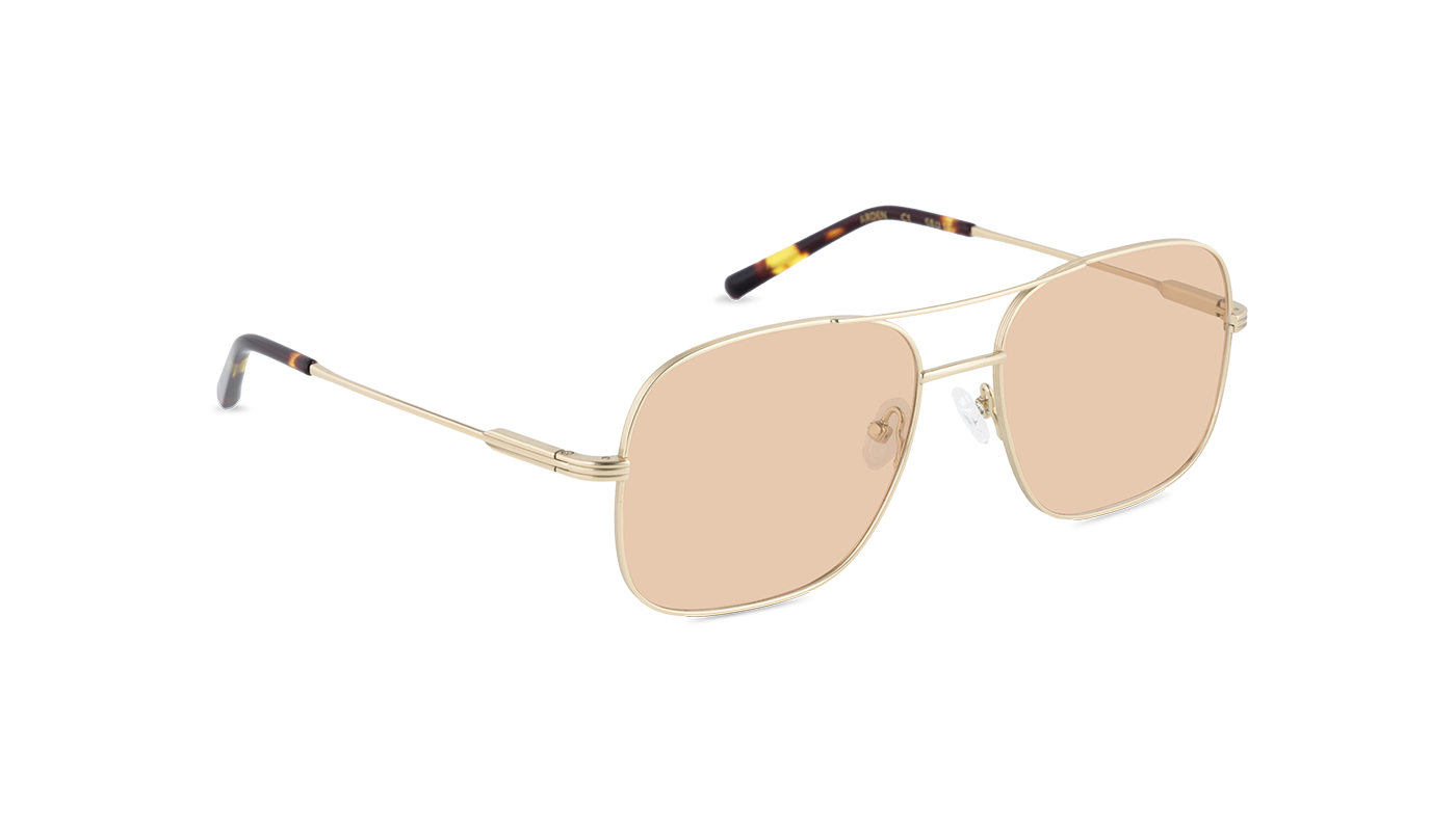 #color_Gold with Light Brown Lens