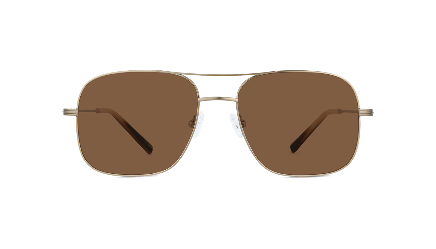 #color_Satin Gold with Classic Brown Lens