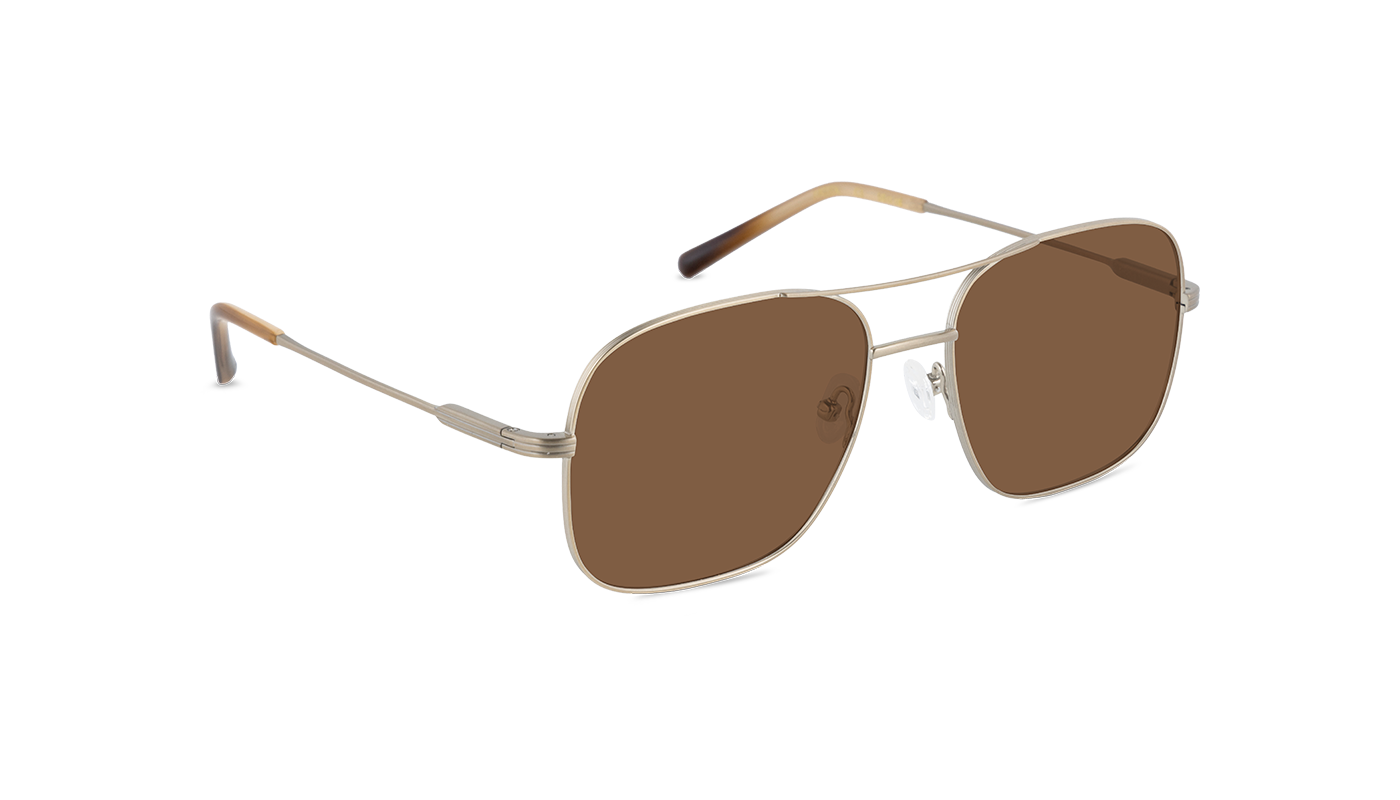 #color_Satin Gold with Classic Brown Lens