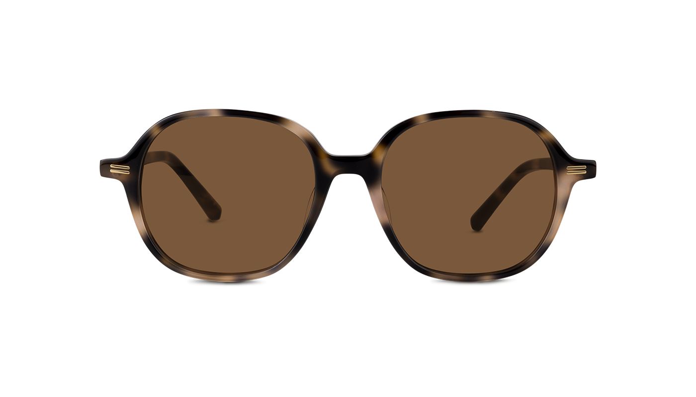 #color_Nude Havana with Classic Brown Lens