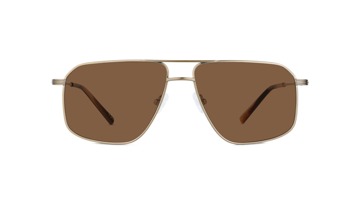 #color_Satin Gold with Classic Brown Lens