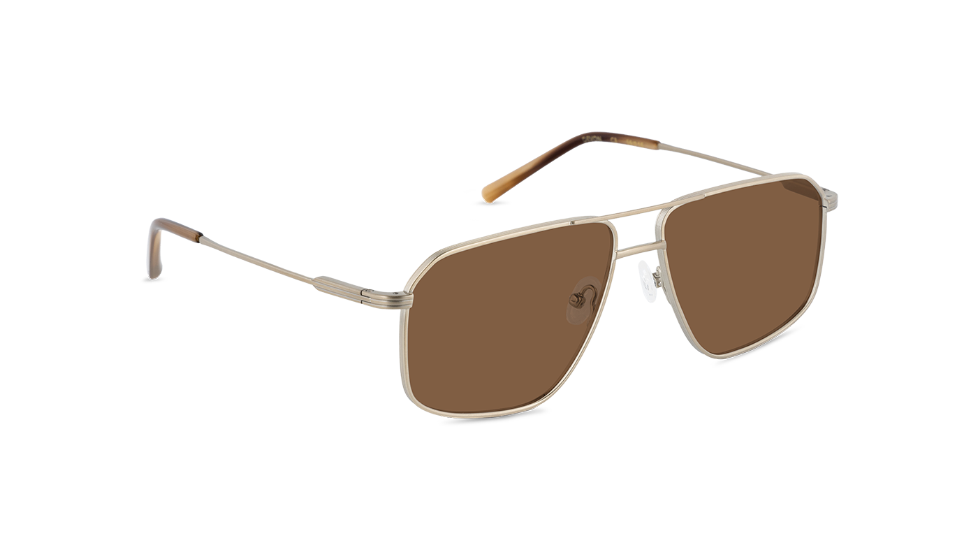 #color_Satin Gold with Classic Brown Lens