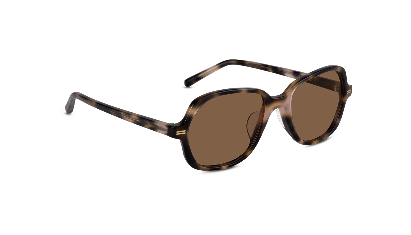 #color_Nude Havana with Classic Brown Lens