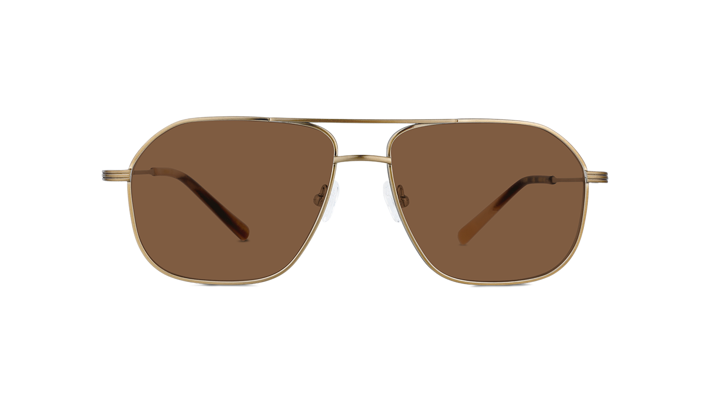 #color_Satin Gold with Classic Brown Lens