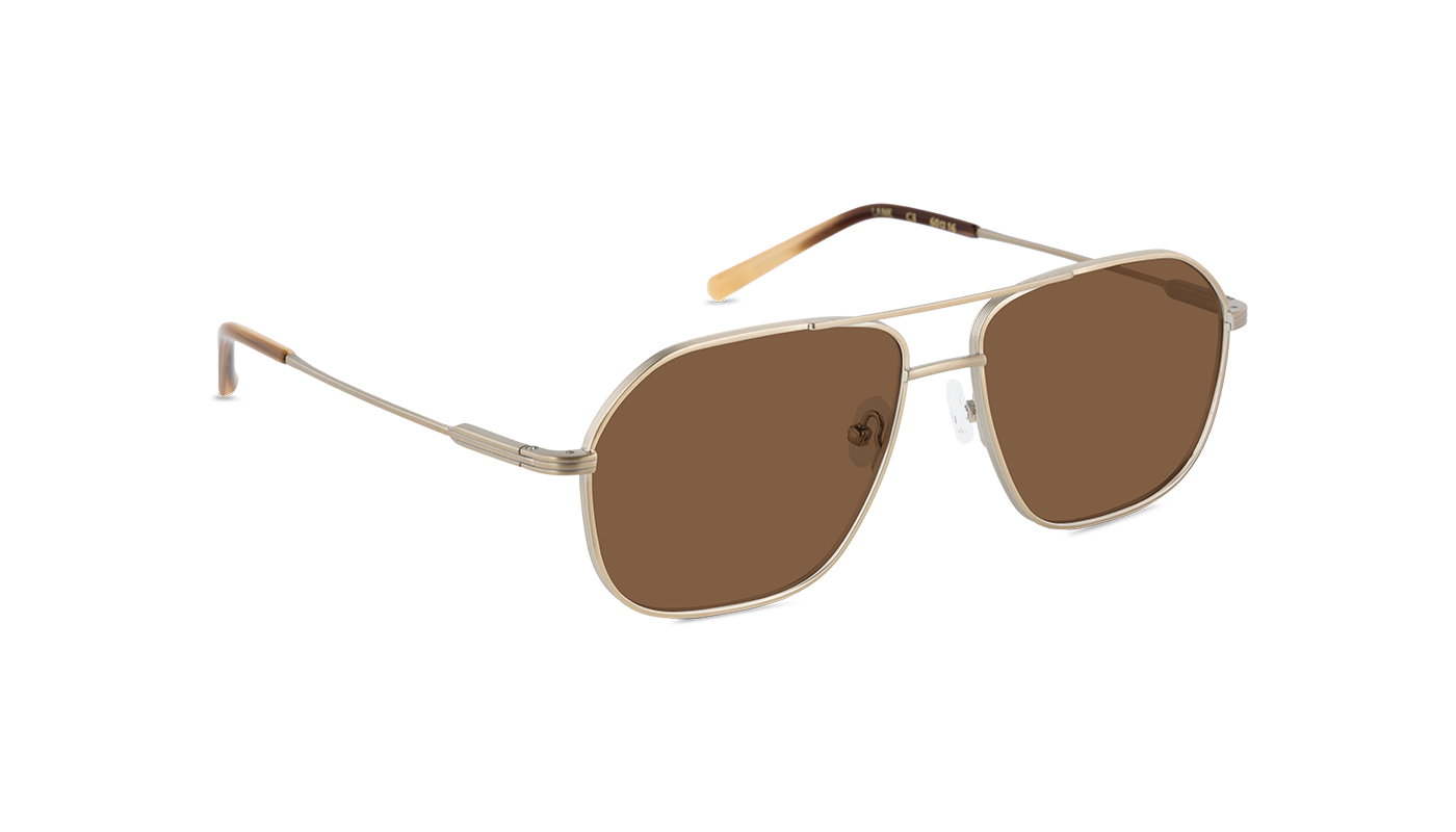#color_Satin Gold with Classic Brown Lens