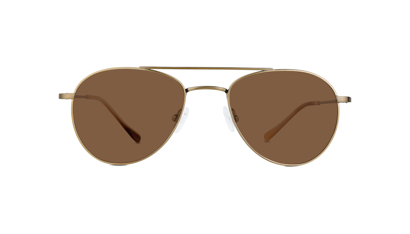#color_Satin Gold with Classic Brown Lens