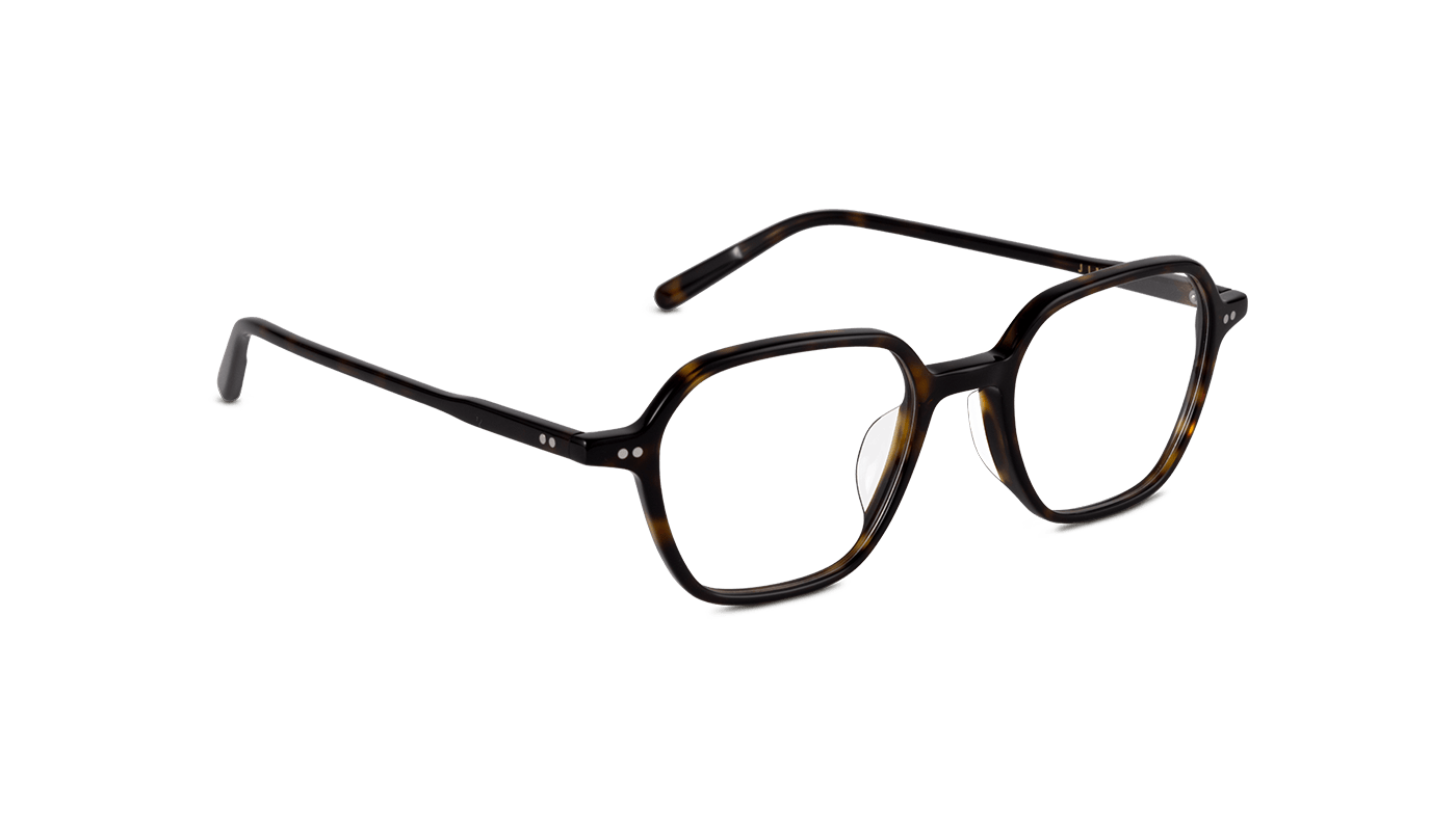 #color_Dark Tortoiseshell