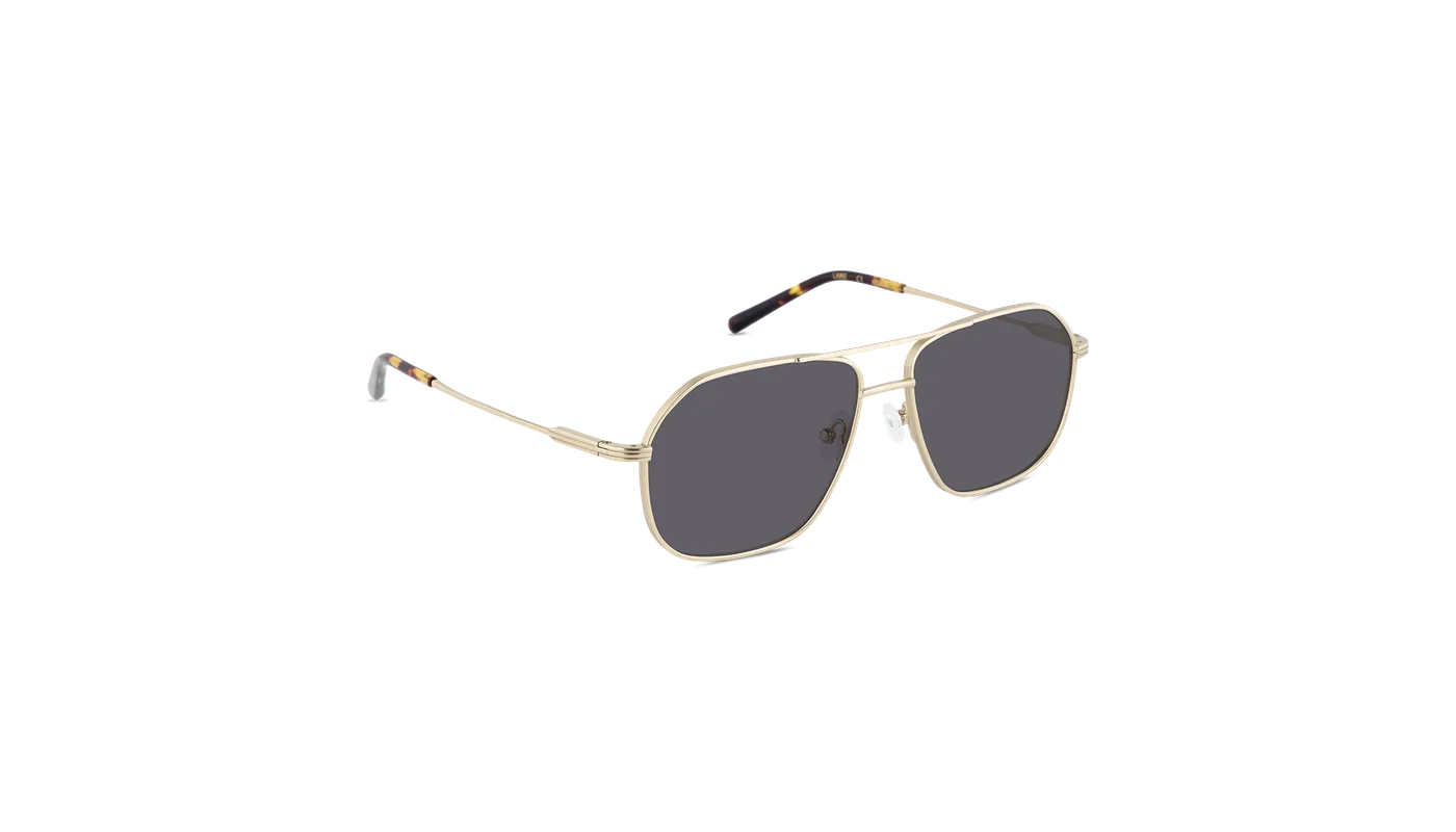 #color_Gold with Classic Grey Lens
