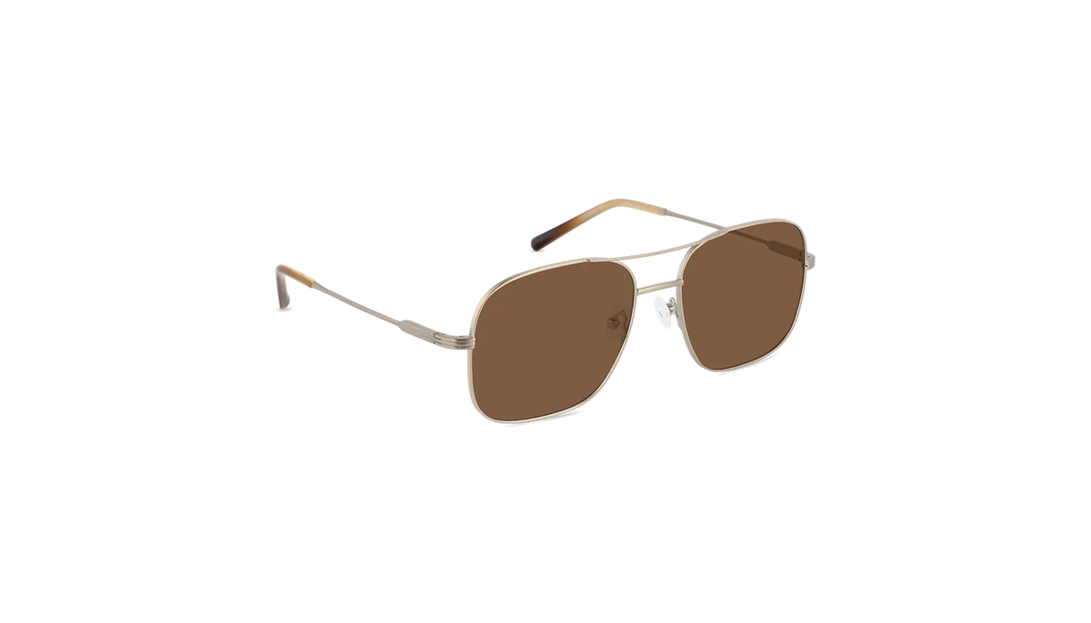 #color_Satin Gold with Classic Brown Lens