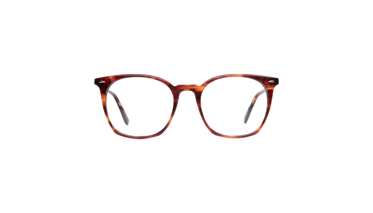 #color_Sunset Tortoiseshell