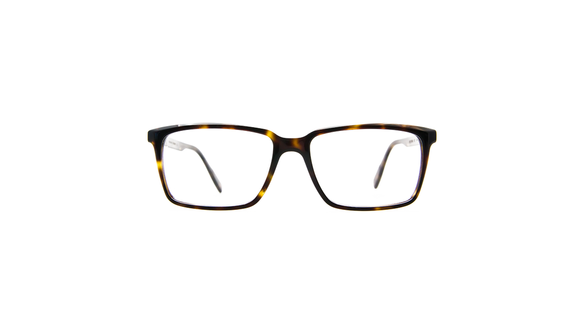 #color_Dark Tortoiseshell