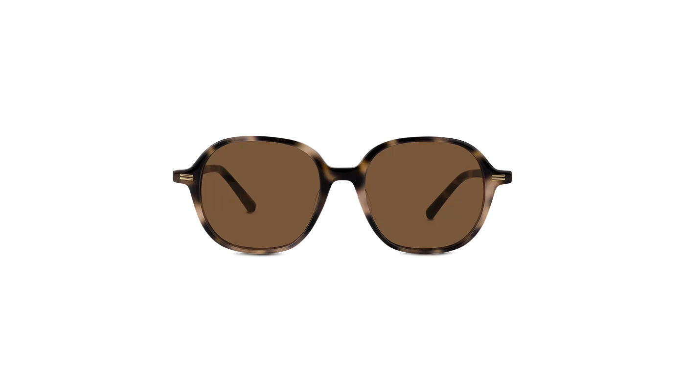 #color_Nude Havana with Classic Brown Lens