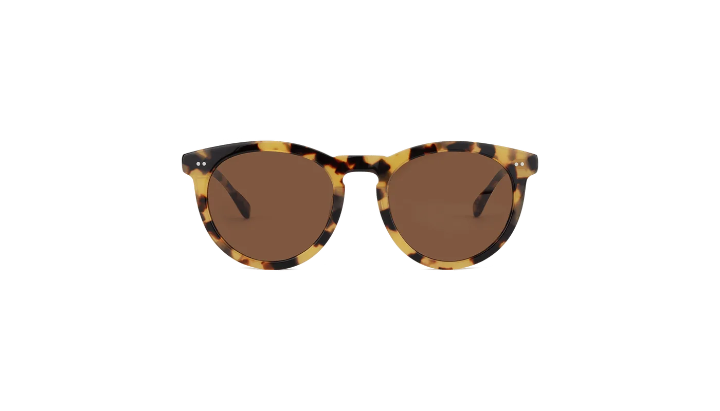 #color_Batagur Tortoise
