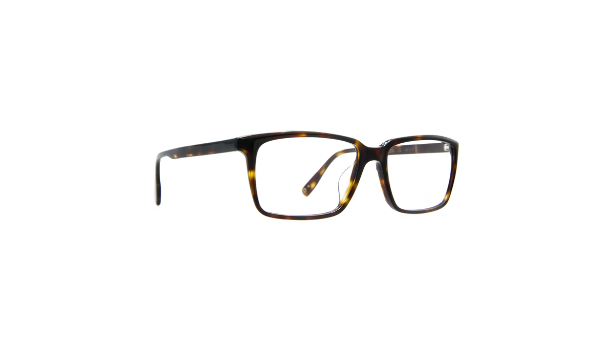 #color_Dark Tortoiseshell