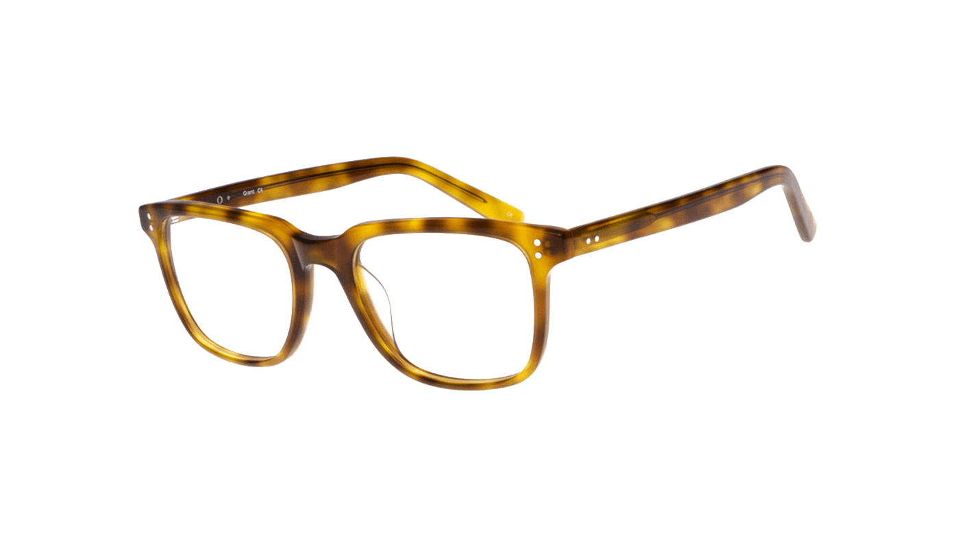 #color_Honey Tortoiseshell