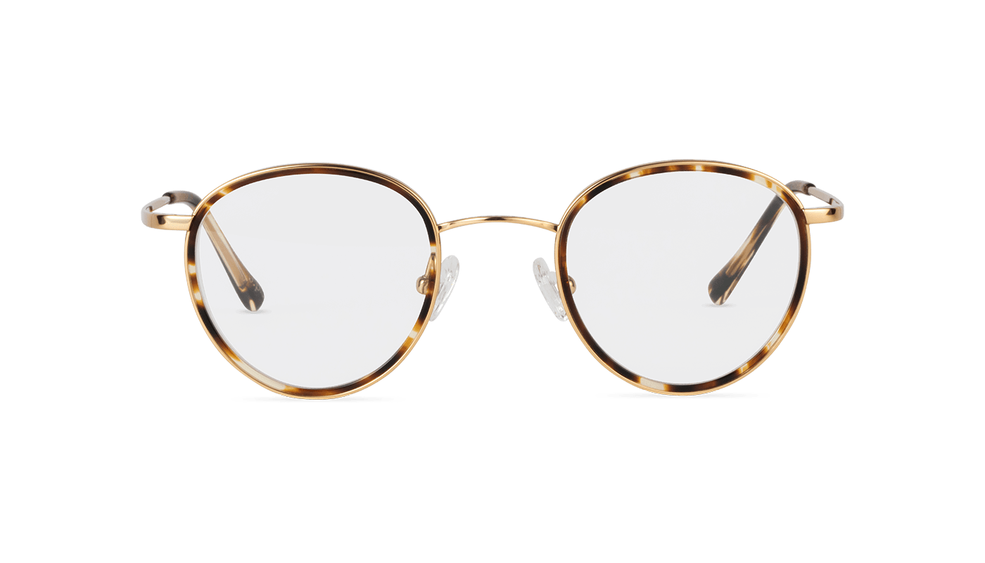 #color_Gold with Havana Windsor
