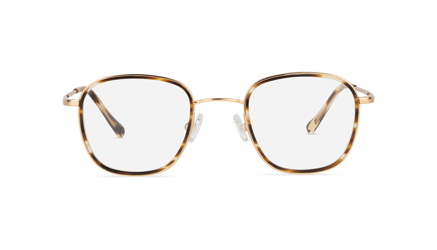 #color_Gold with Havana Windsor