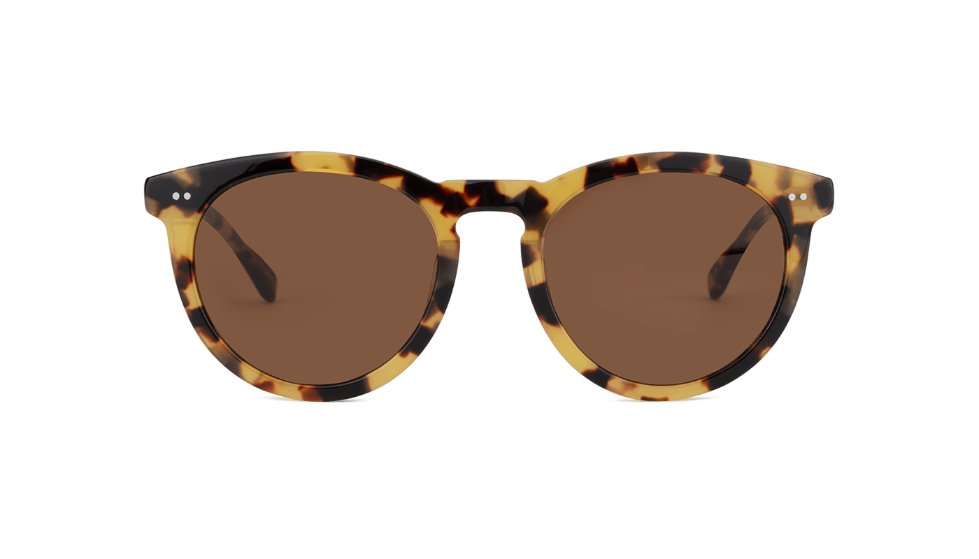 #color_Batagur Tortoise