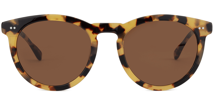 Load image into Gallery viewer, Batagur Tortoise-Classic Brown Lens
