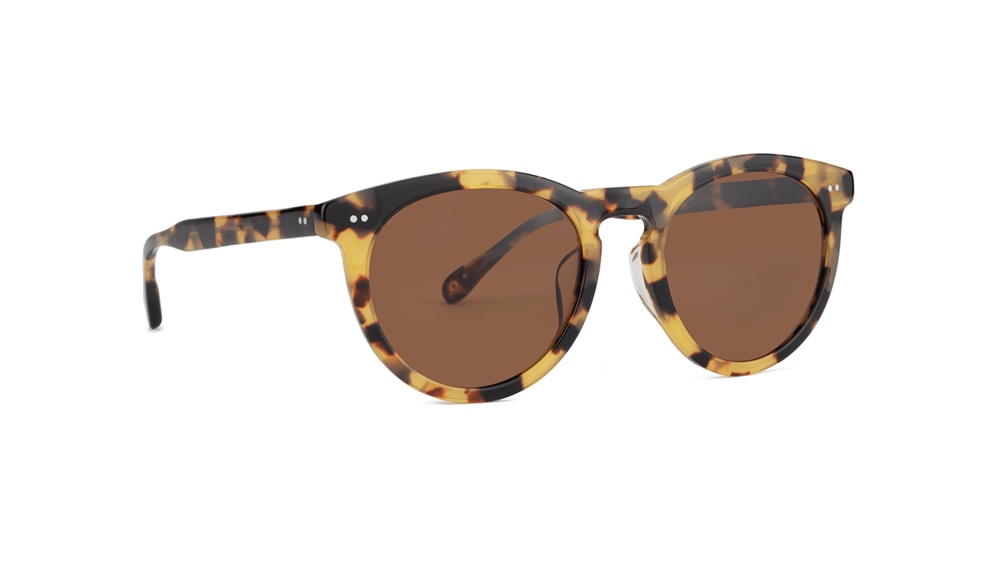 #color_Batagur Tortoise