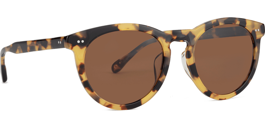 Load image into Gallery viewer, Batagur Tortoise-Classic Brown Lens
