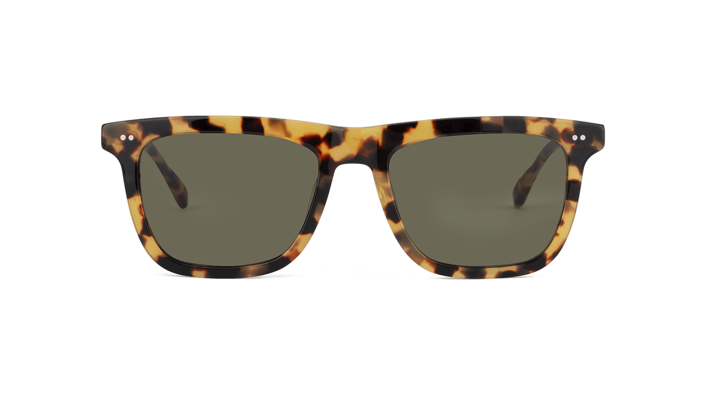 #color_Batagur Tortoise