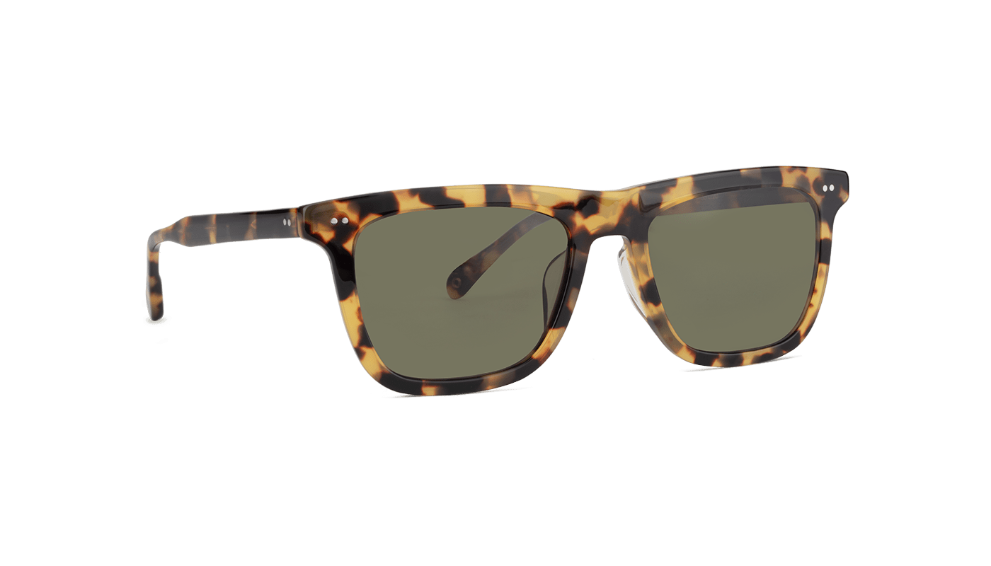#color_Batagur Tortoise