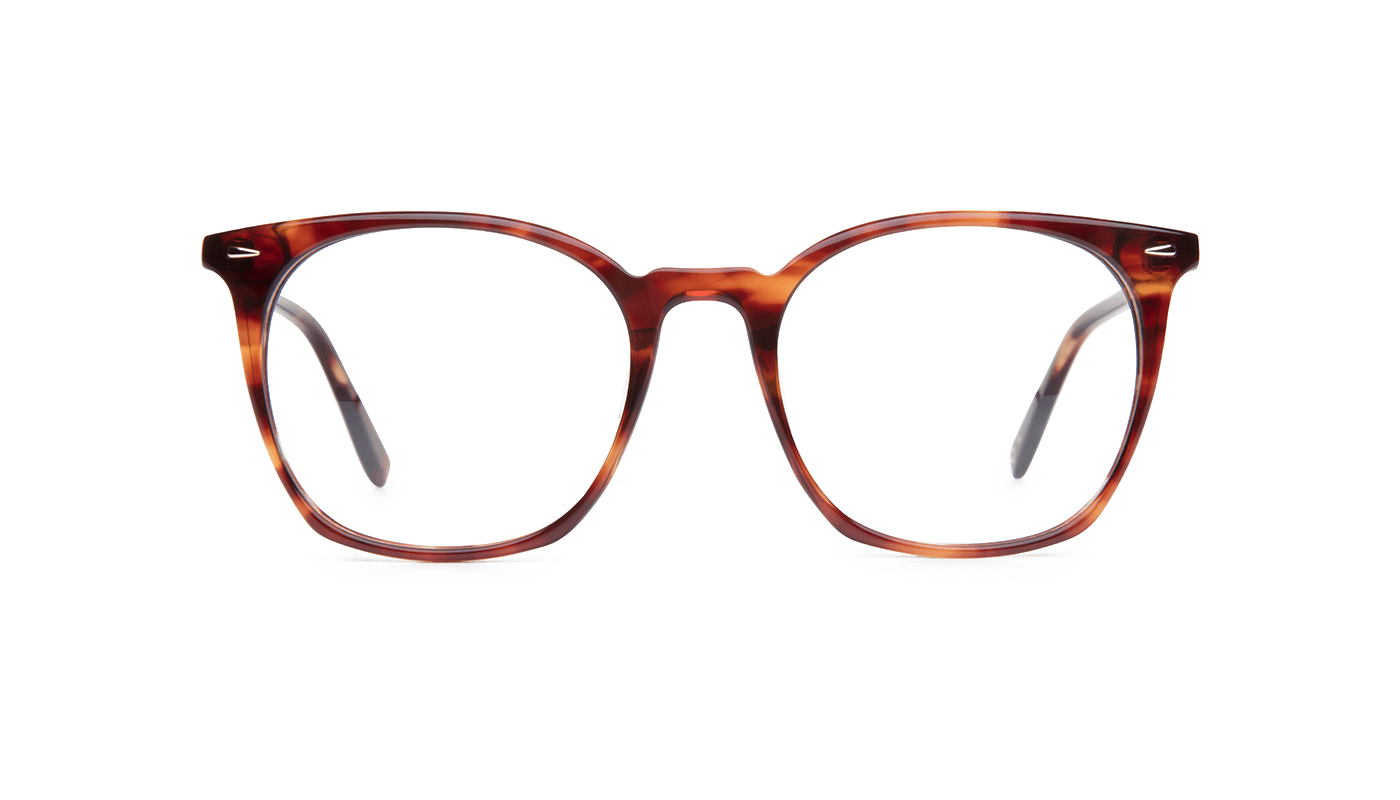 #color_Sunset Tortoiseshell