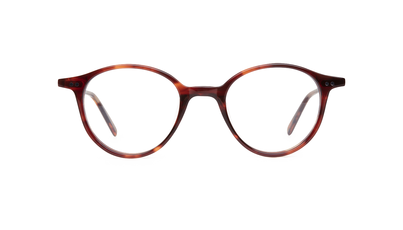 #color_Sunset Tortoiseshell