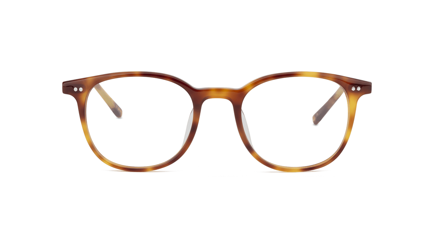 #color_Honey Tortoiseshell