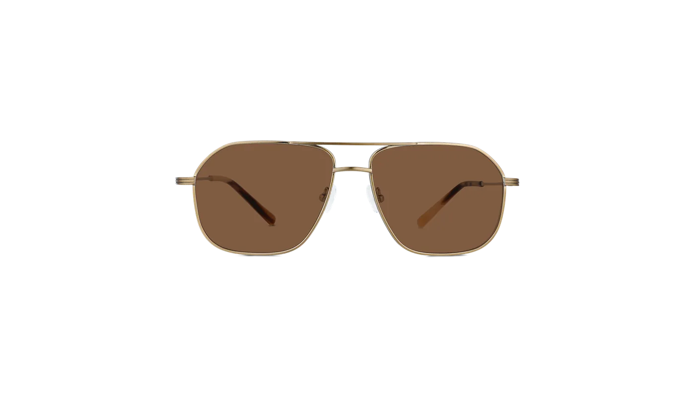#color_Satin Gold with Classic Brown Lens