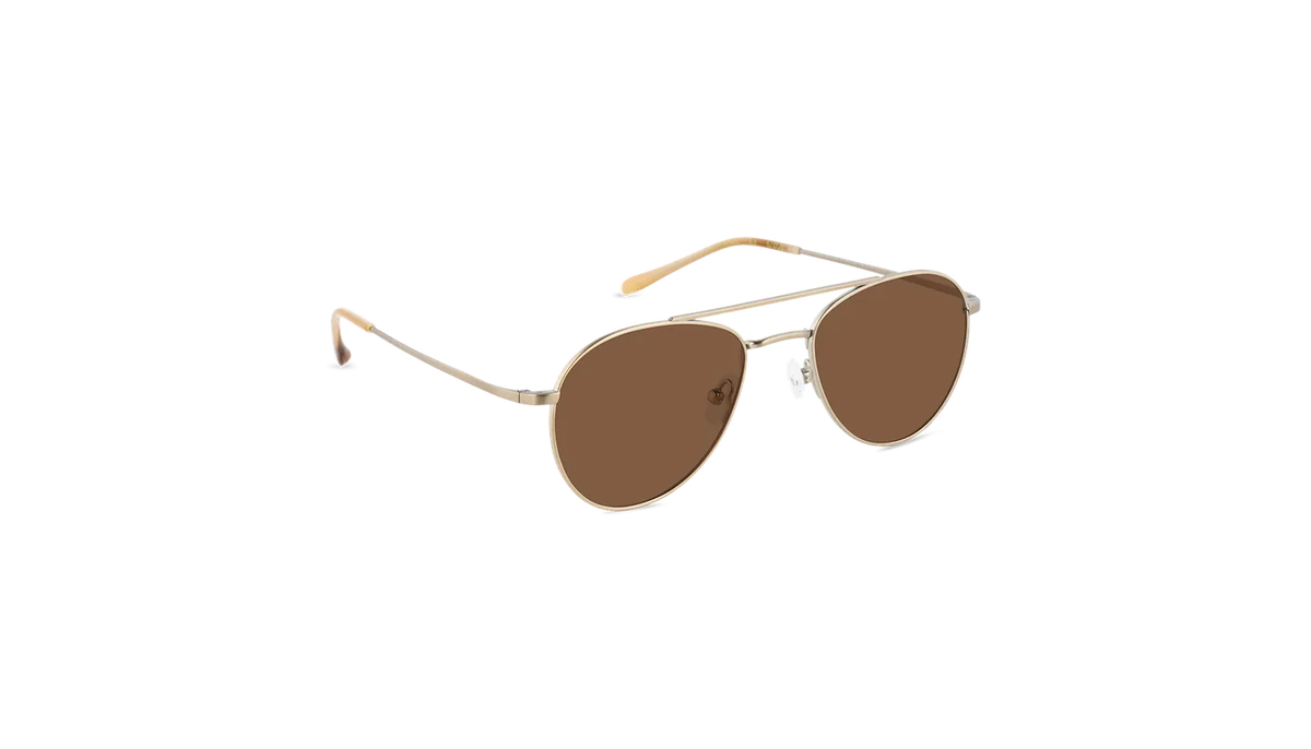 #color_Satin Gold with Classic Brown Lens