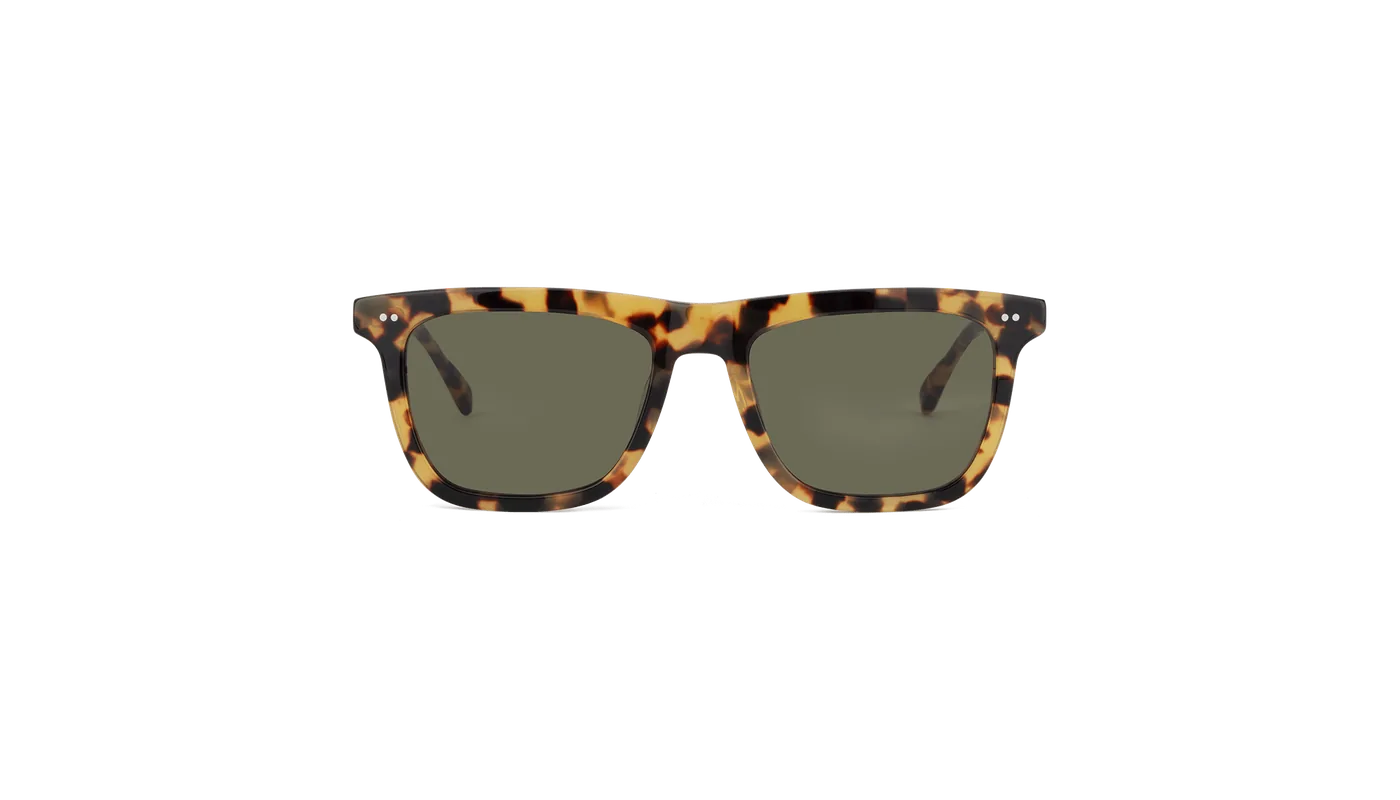 #color_Batagur Tortoise