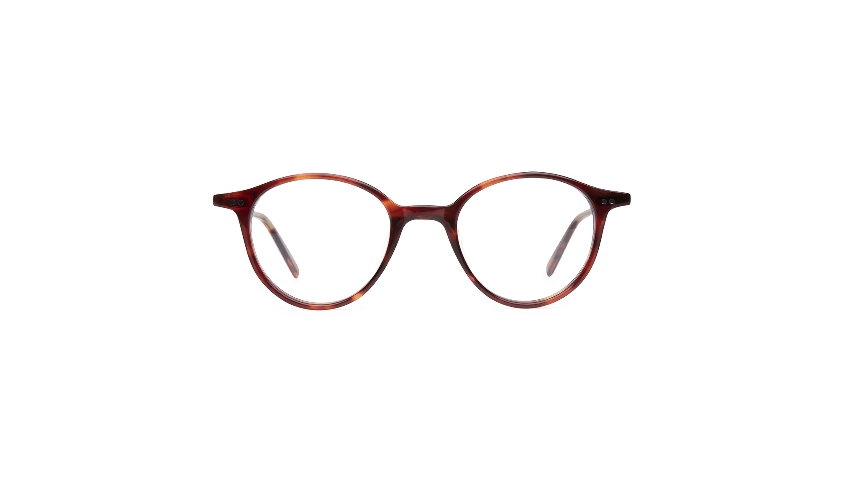 #color_Sunset Tortoiseshell