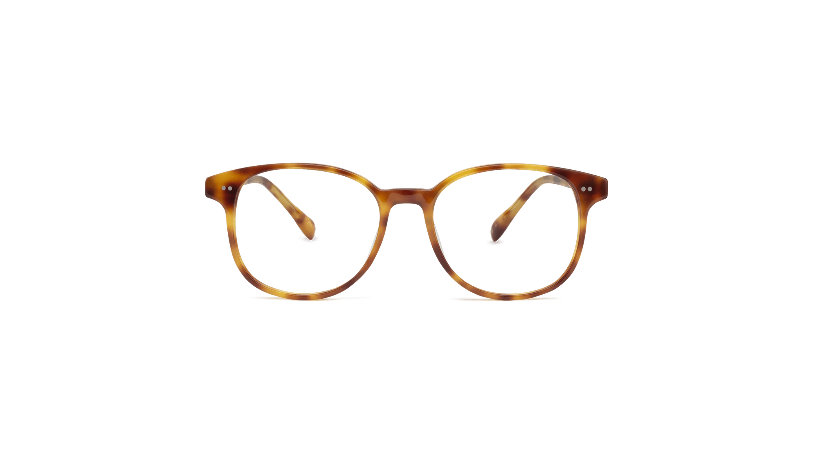 #color_Honey Tortoiseshell
