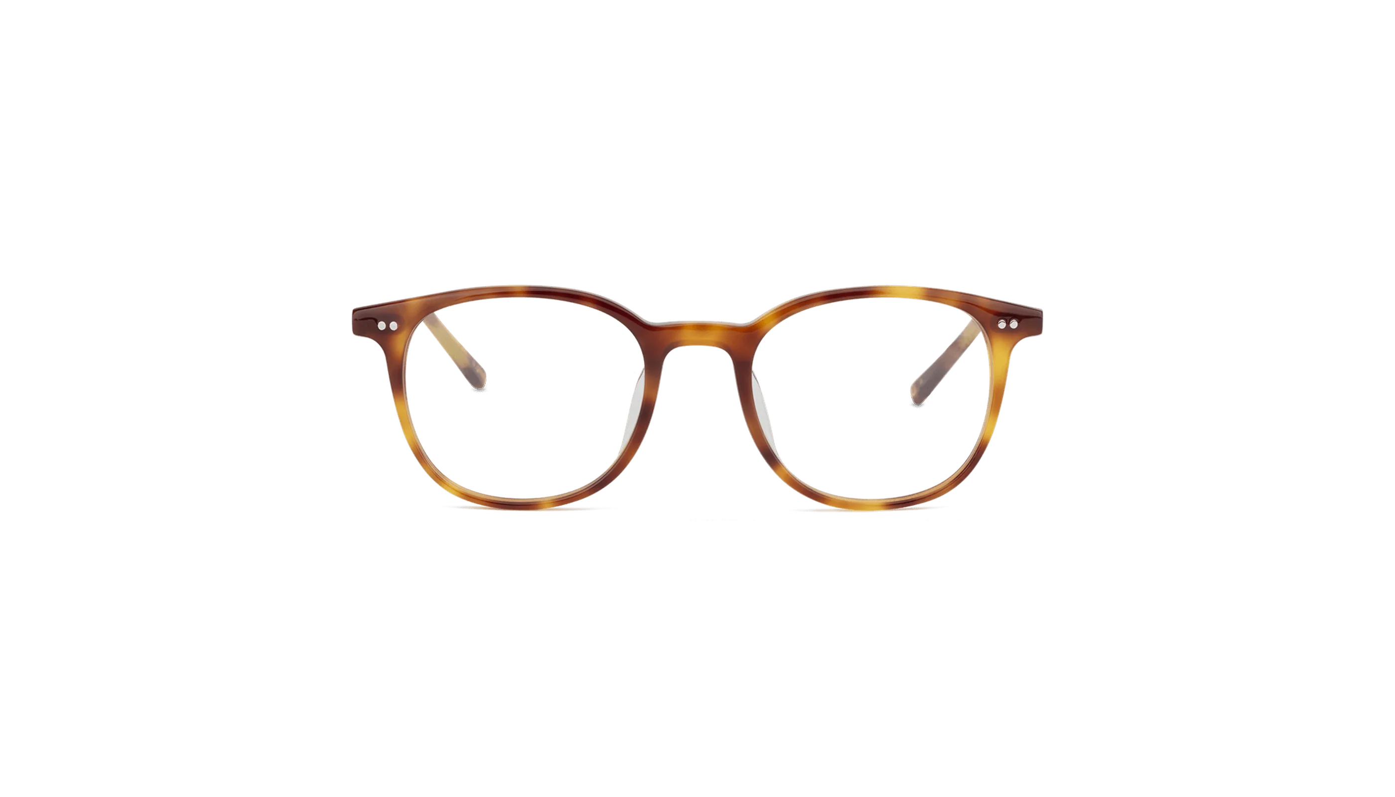 #color_Honey Tortoiseshell