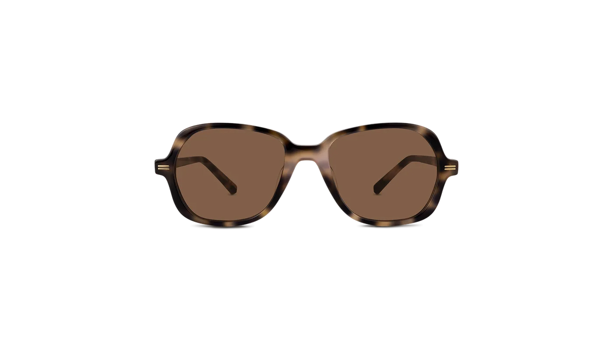 #color_Nude Havana with Classic Brown Lens