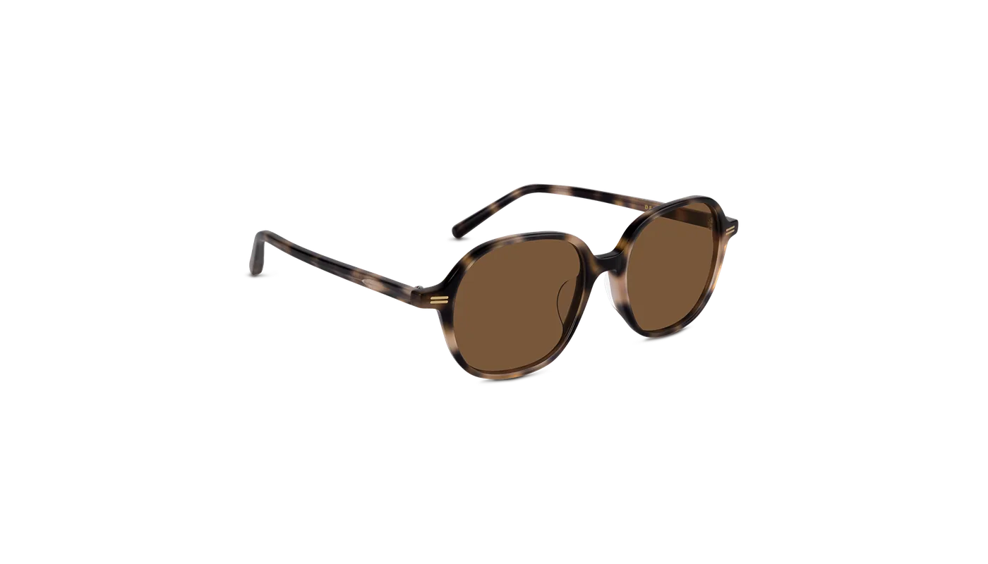 #color_Nude Havana with Classic Brown Lens