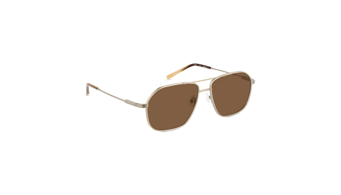 #color_Satin Gold with Classic Brown Lens