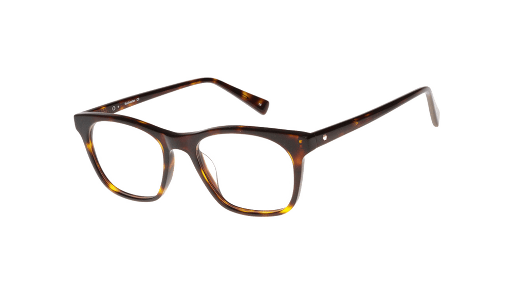 Rochester Big Frames Spectacles Singapore